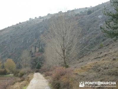 visitas alrededores de madrid;excursiones por guadalajara;senderismo sierra de guadarrama